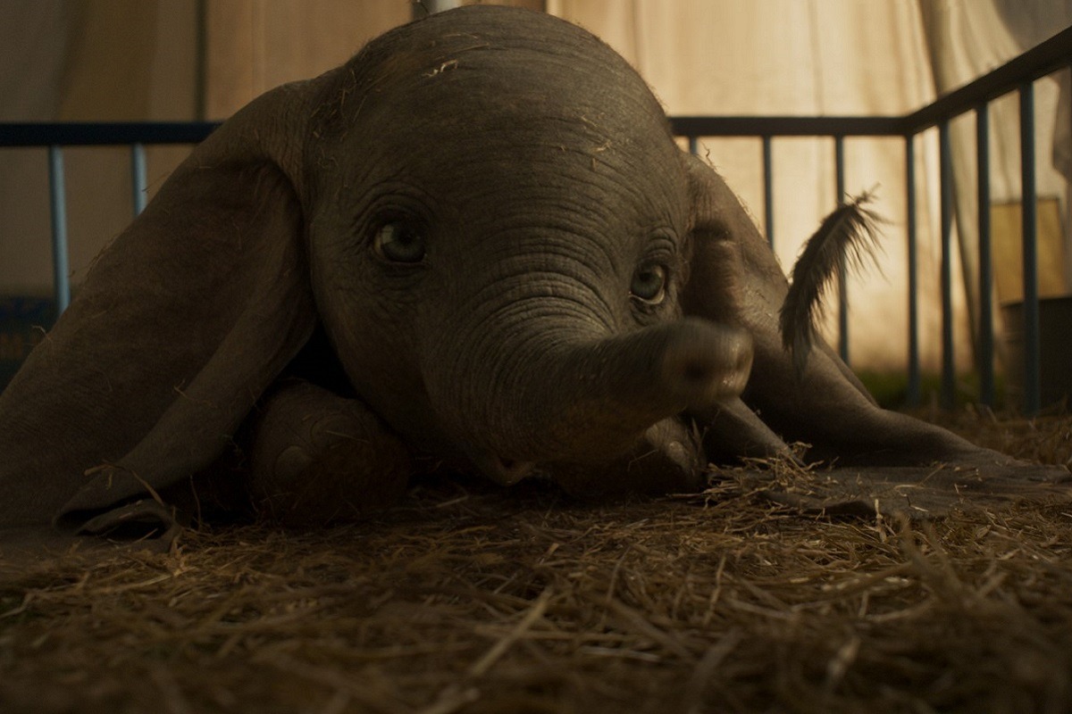 Babyelefant Dumbo wird wegen seiner großen Ohren verspottet