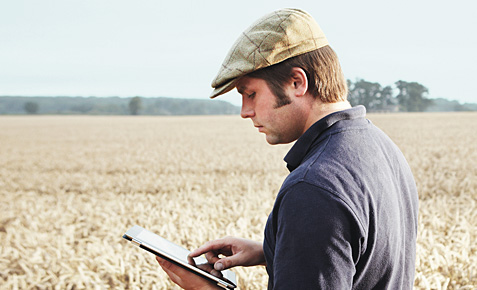 Landwirt auf einem Kornfeld mit seinem Tablet.
