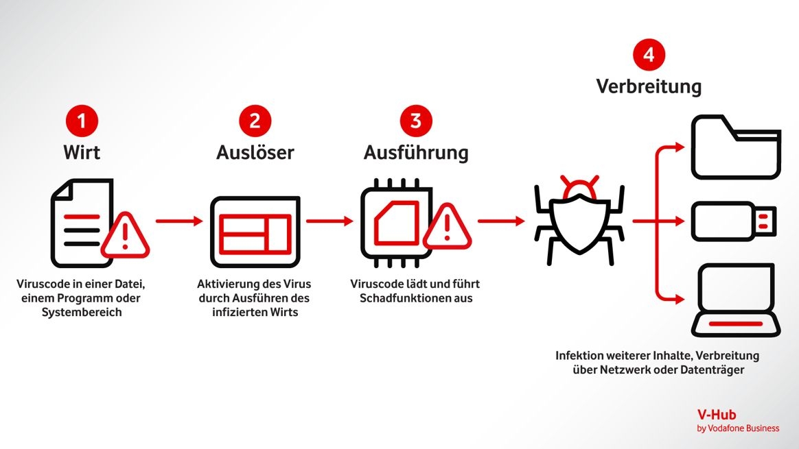 Grafische Darstellung des Ablaufs einer Computervirus-Infektion.