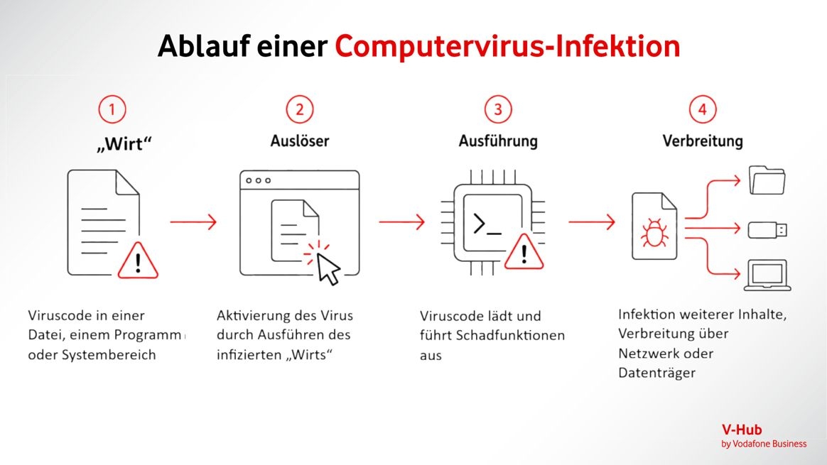 Grafische Darstellung des Ablaufs einer Computervirus-Infektion.