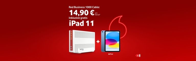 Red Business 1000 Cable mit gratis iPad 11