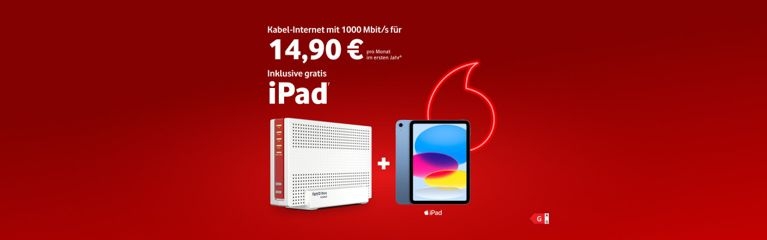 Red Business 1000 Cable mit gratis iPad 11