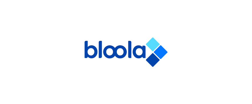 Bloola Logo