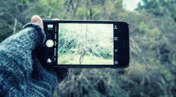 iStock_000054561432_Large_2