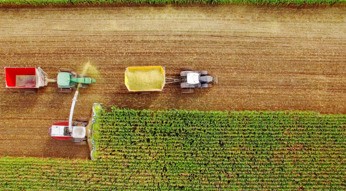 feld-header