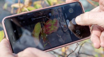 Mit dem Google Pixel 3 XL ein Foto aufnehmen.