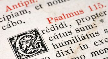 Die lateinische Sprache