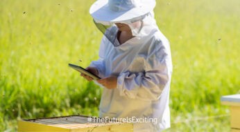 KI und smarte Technologien gegen das Bienensterben