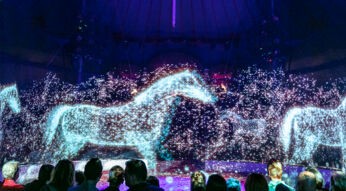 Hologramm-Zirkus: Hightech-Show statt lebendiger Tiere