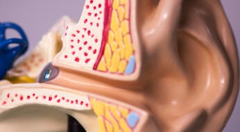 Die Kontaktlinse für die Ohren liegt direkt auf dem Trommelfell auf