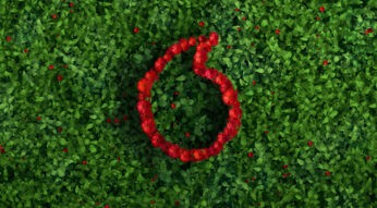 Das Vodafone-Speechmark wächst mit Blumen auf einer Ecke.