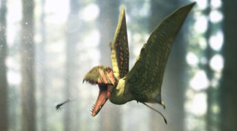 conquest-of-the-skies-dieser-vr-film-fuer-meta-quest-2-zeigt-dir-die-eroberung-der-luefte-header