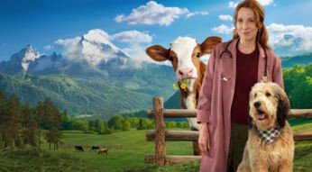 Der Maiwald_Teaserbild