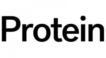Protein