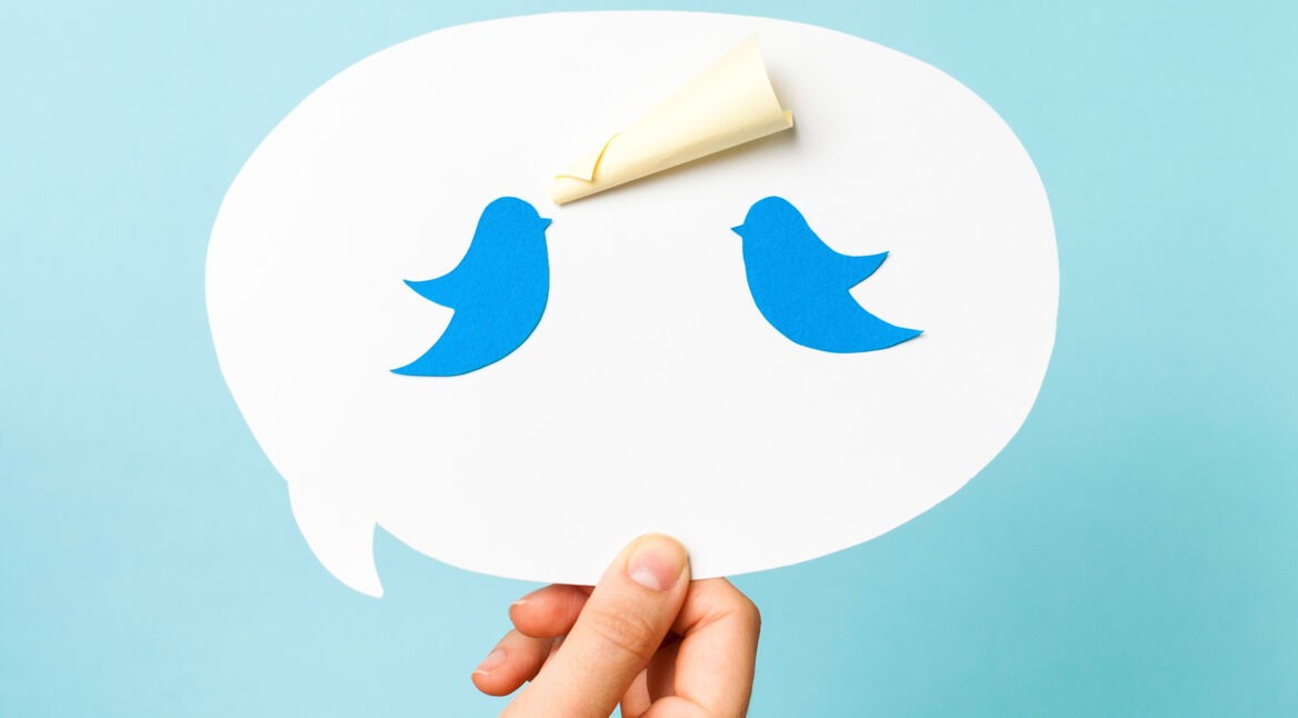 Blue bird on speech bubble