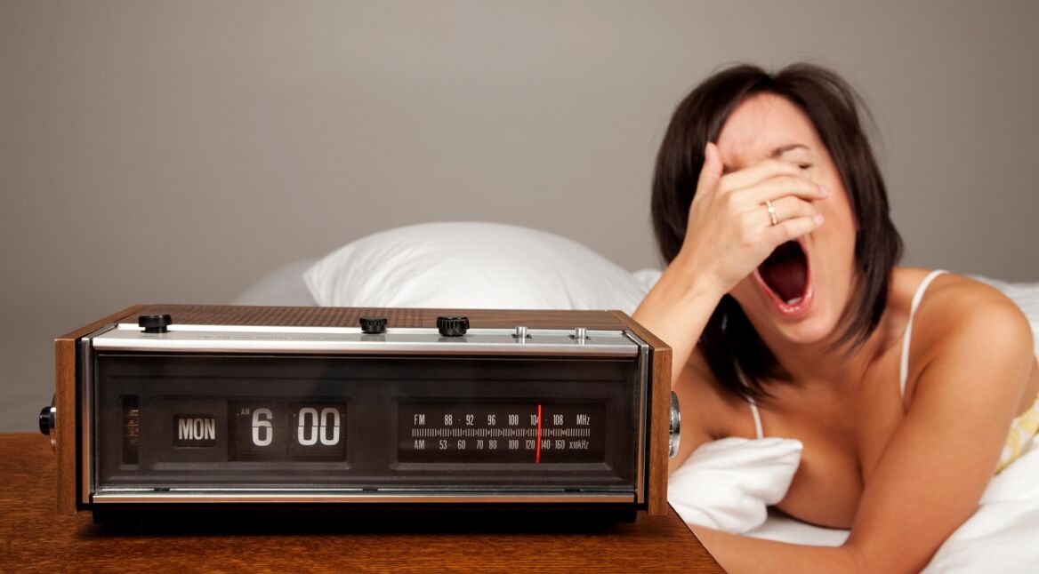 iStock_000008019174_Large_bearb