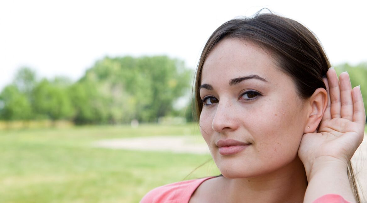 iStock_000010388894_Large_bearb