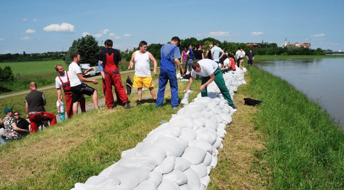 iStock_000025011690_Large_bearb2