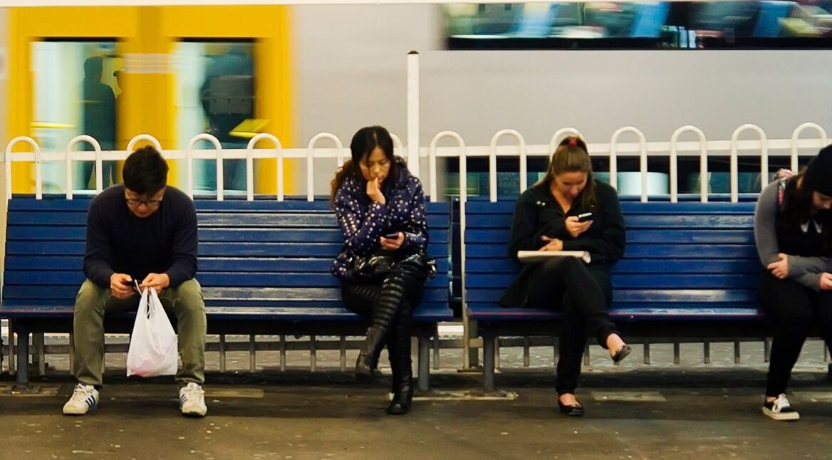 iStock_000043761870_Large_bearb