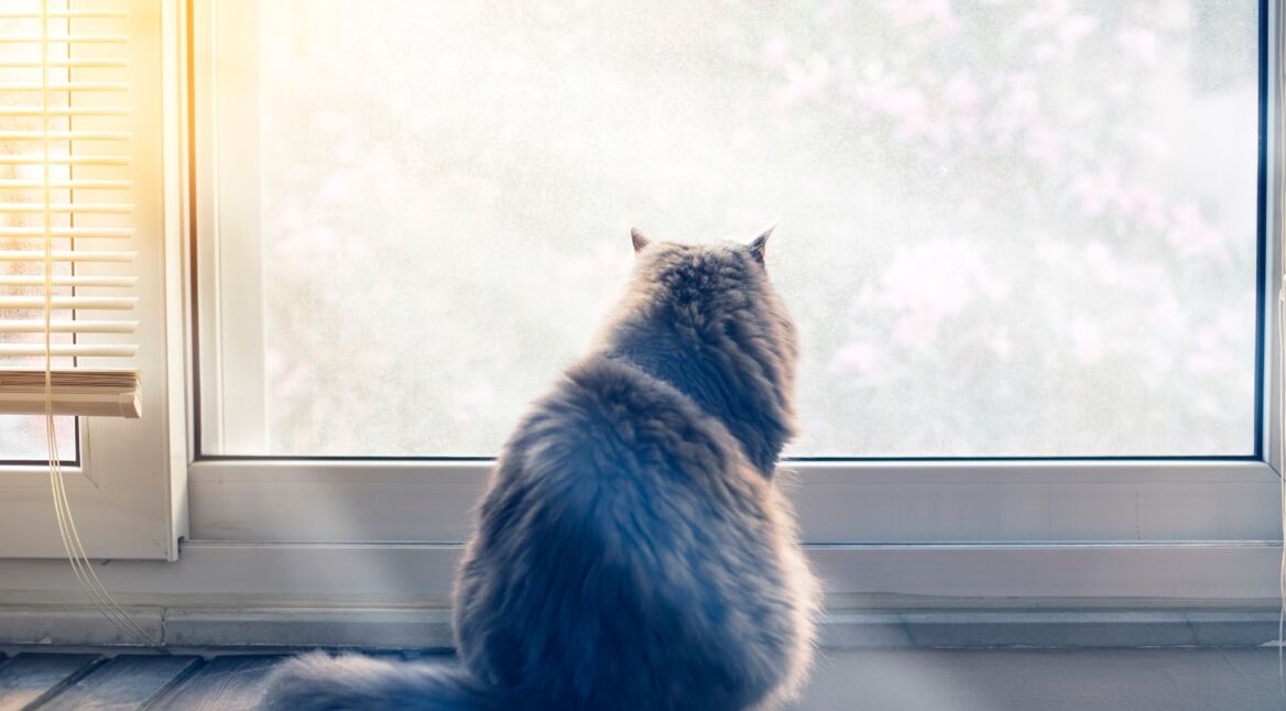 iStock_000046692560_kleiner