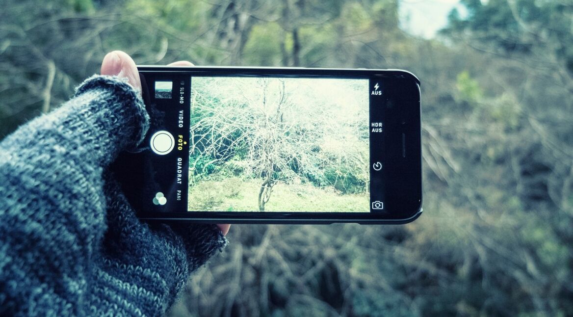 iStock_000054561432_Large_2