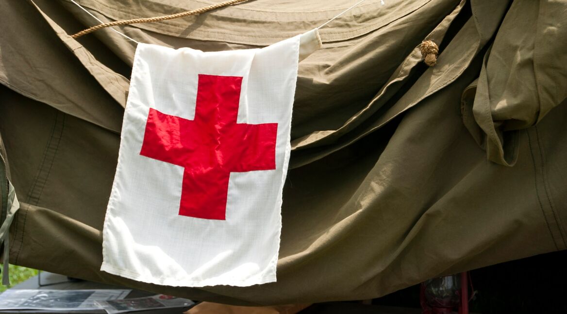 iStock_000015974134_Large_bearb