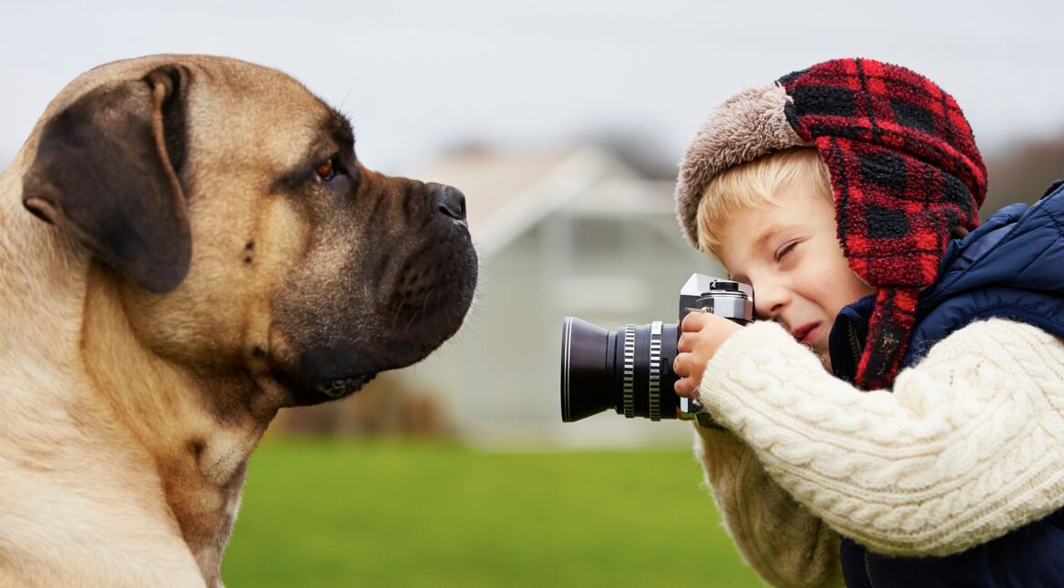 Little photographer