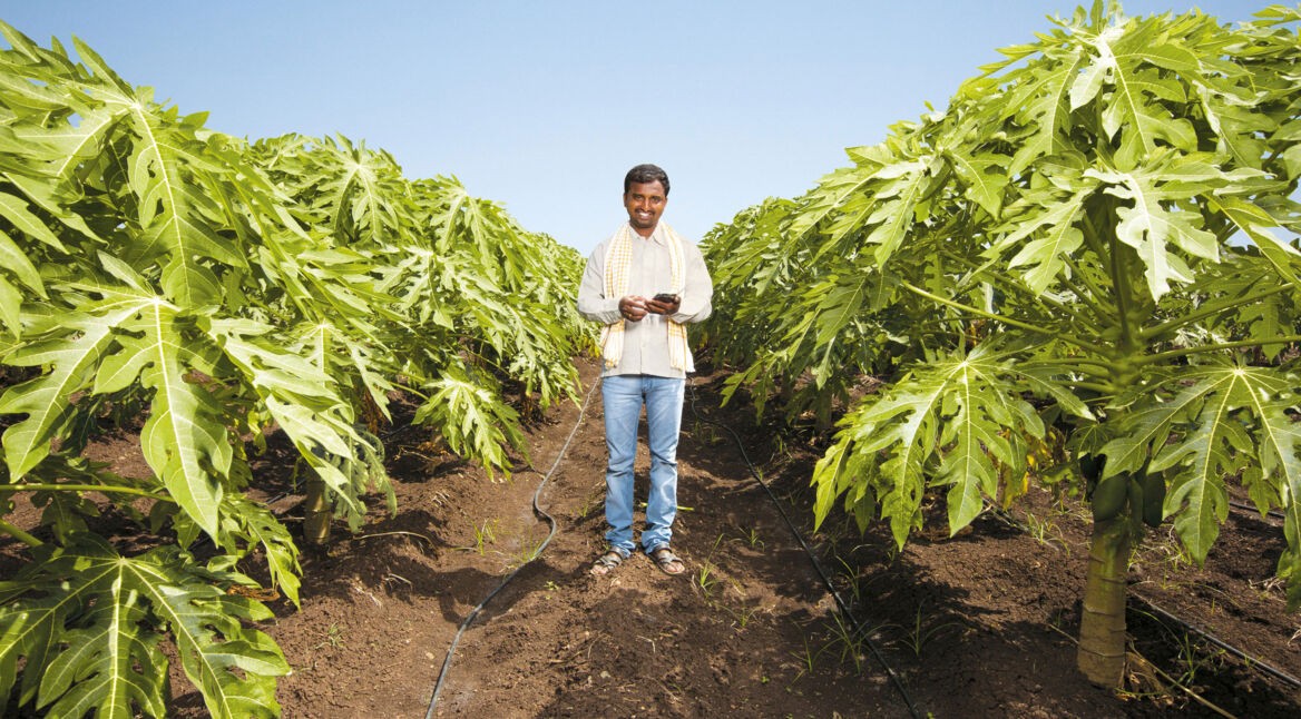 17891686615_2b2707305b_k