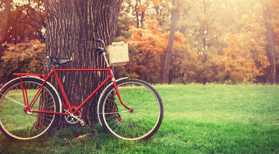 Vintage bicycle waiting near tree