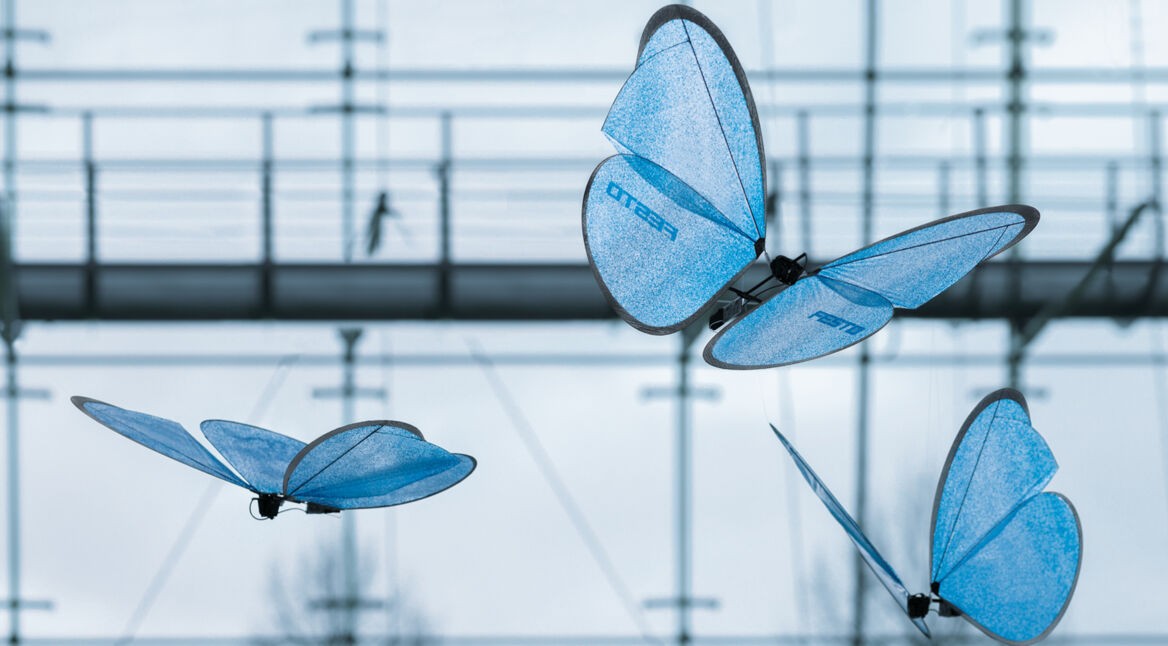 Tierbots_Titelbild_20151016