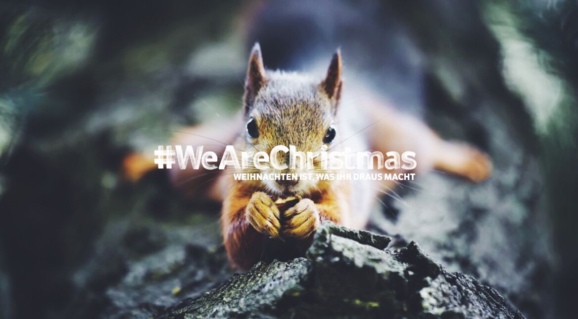 Header_Featured_TVProgramm_vX