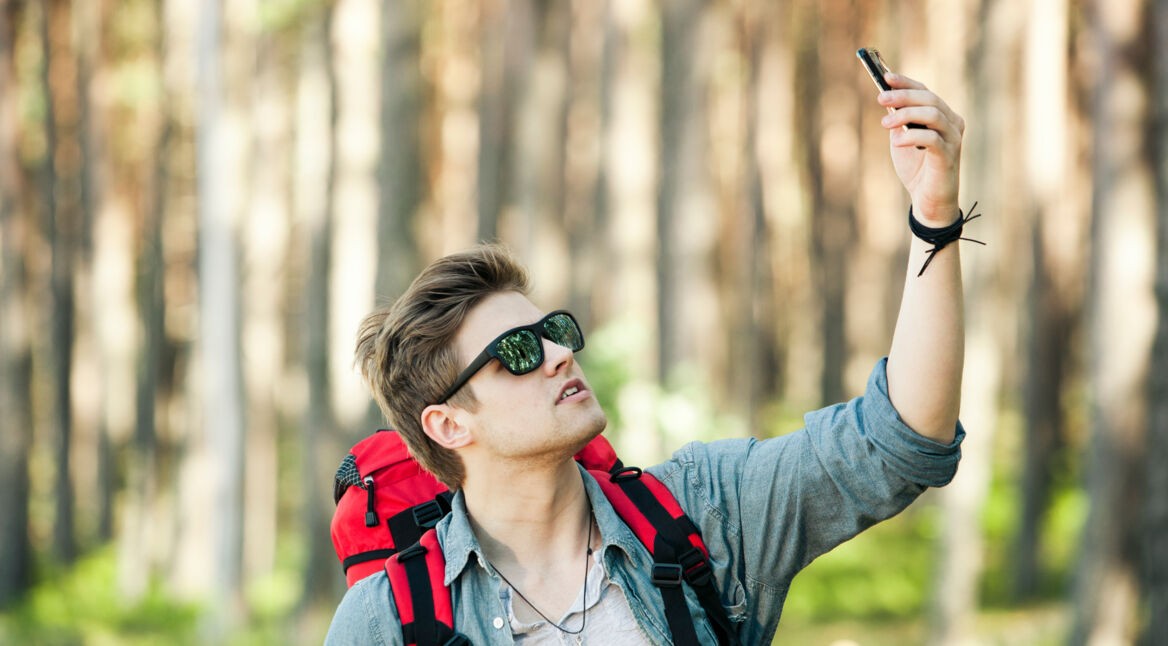 Mit diesen Apps kannst Du Pflanzen erkennen, die Du fotografiert hast.