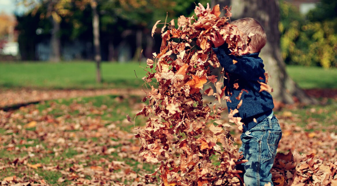 Kleiner Junge spielt mit Laub