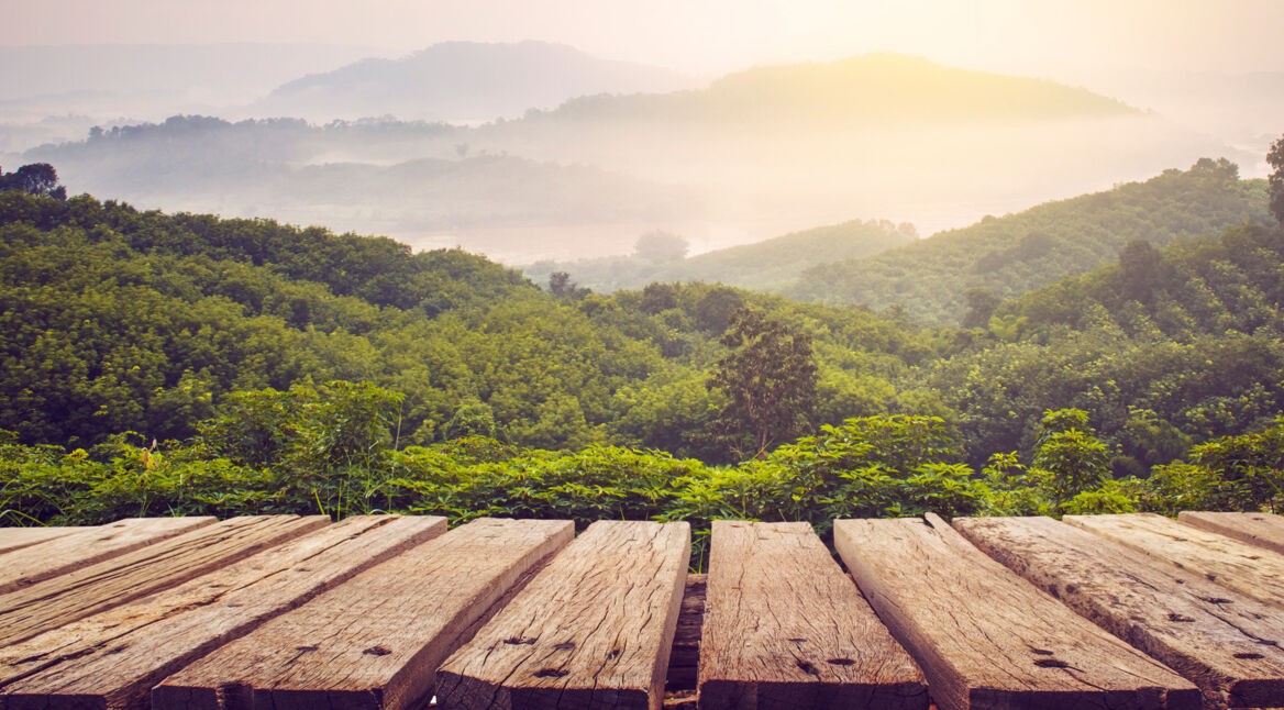 Aufnahme einer Landschaft in freier Natur