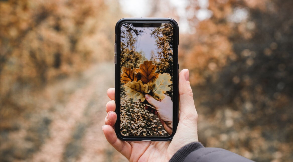 iPhone X in herbstlicher Szenerie