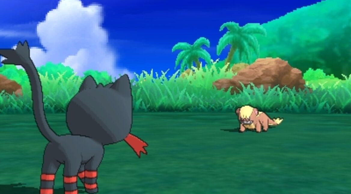 n3ds_pokacmonsonnemond_screenshot_litten_vs_yungoos