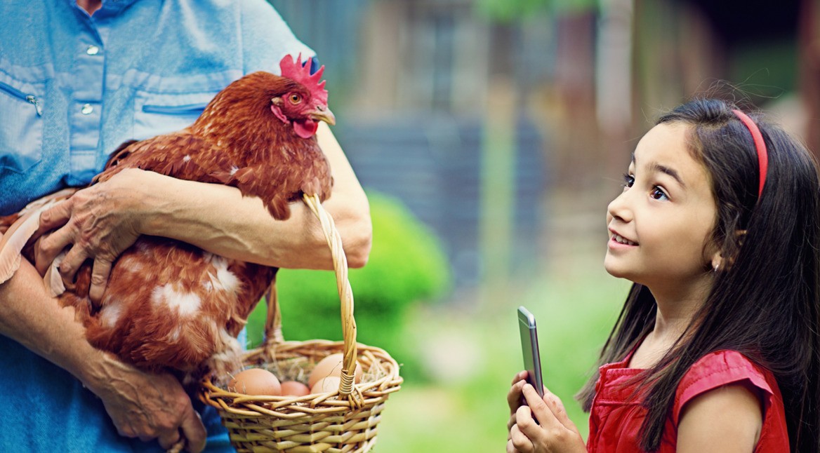 Umwelt_Apps_featured_Vodafone