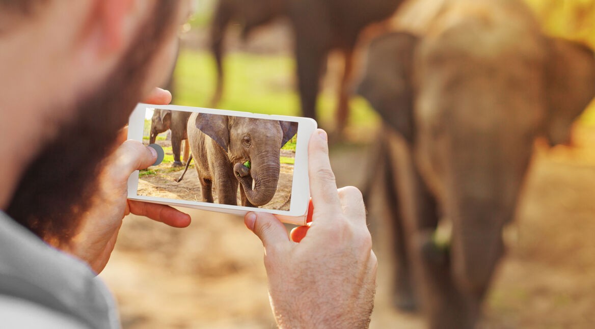 Mit dem Smartphone fotografieren