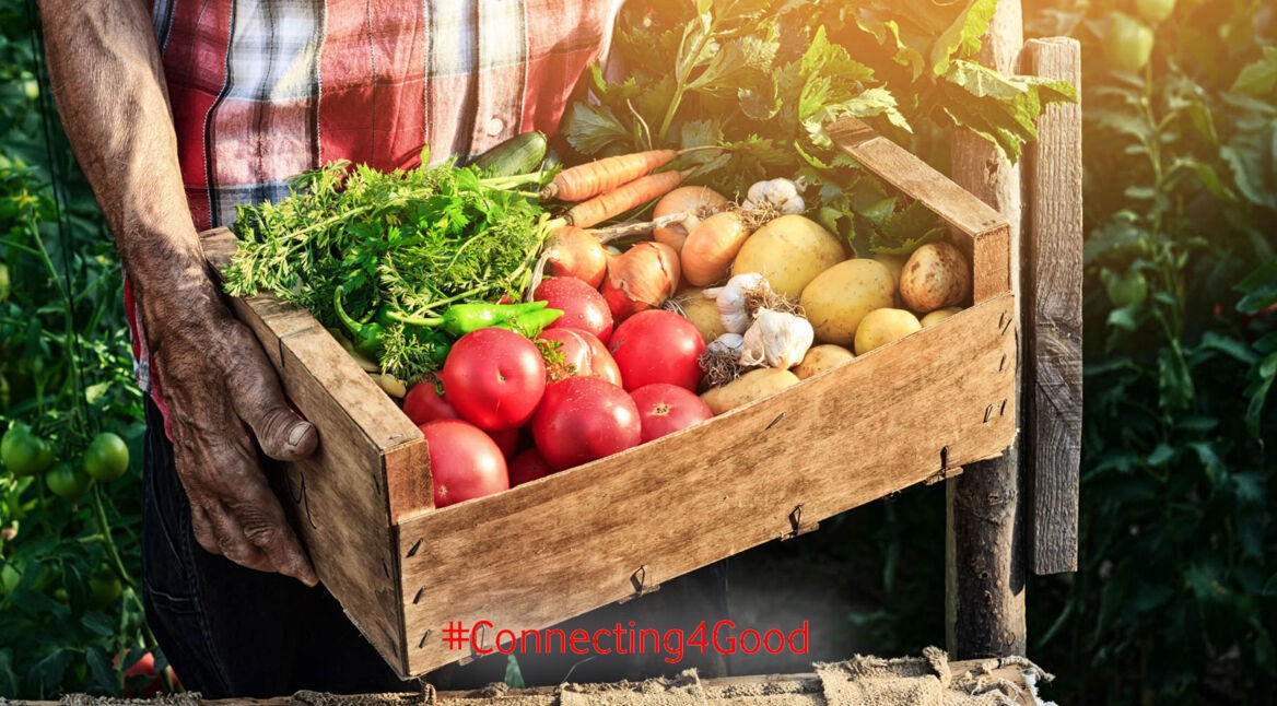 Lebensmittel_Header1