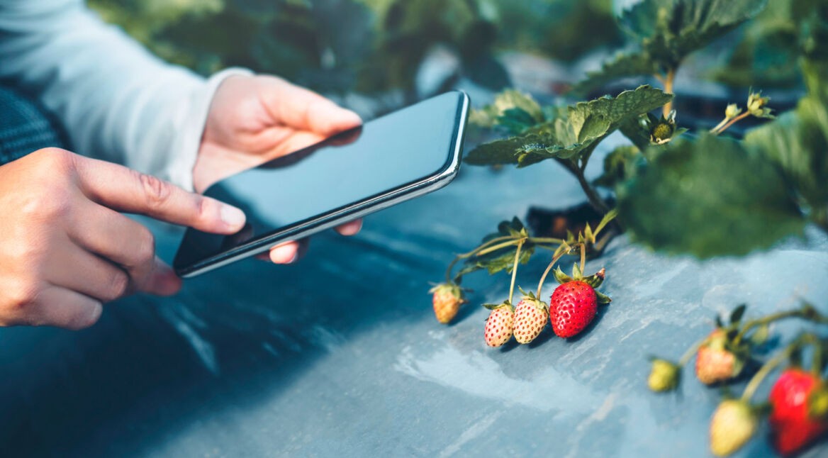 Mache Deinen Garten fit mit Smart Gardening