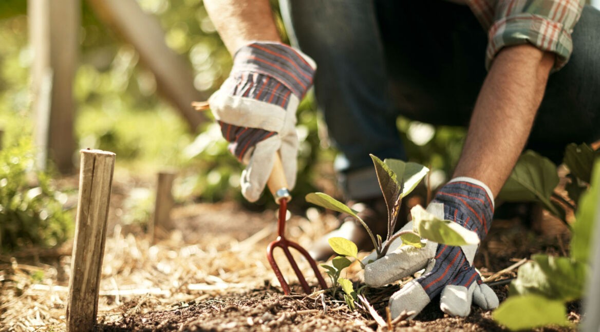 Ein Mann pflanzt etwas in seinem Garten