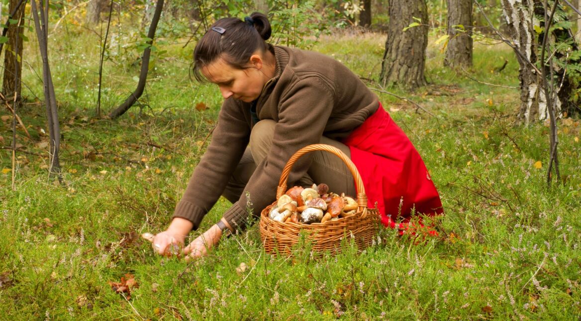 Eine junge Frau sammelt im Wald Pilze
