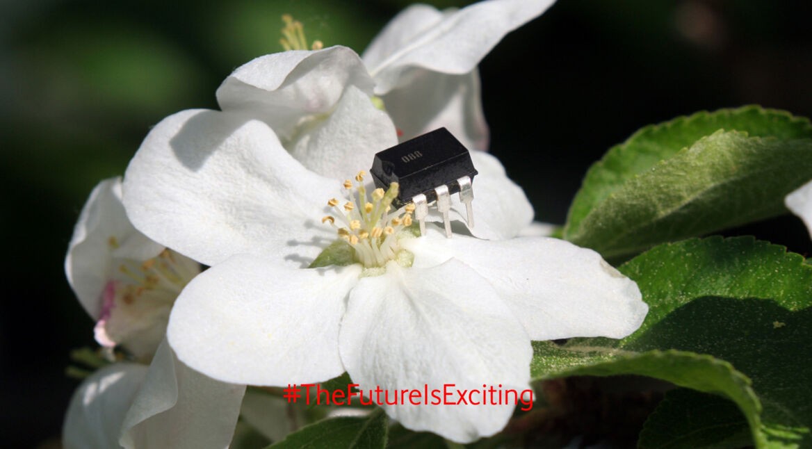 cherry blossom with electronic bug