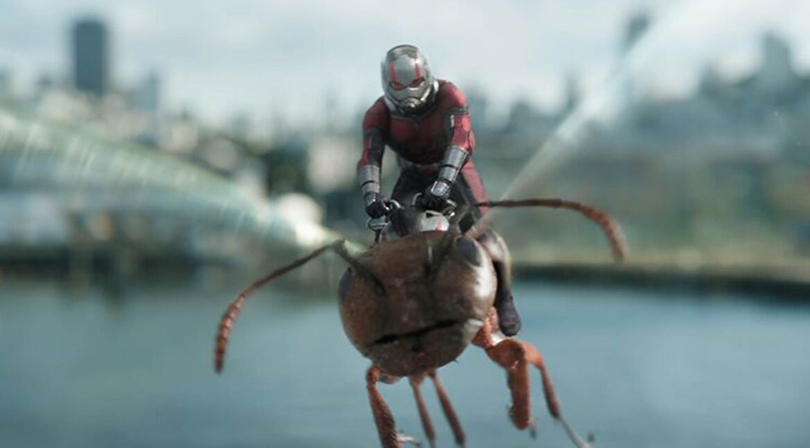 antman-header