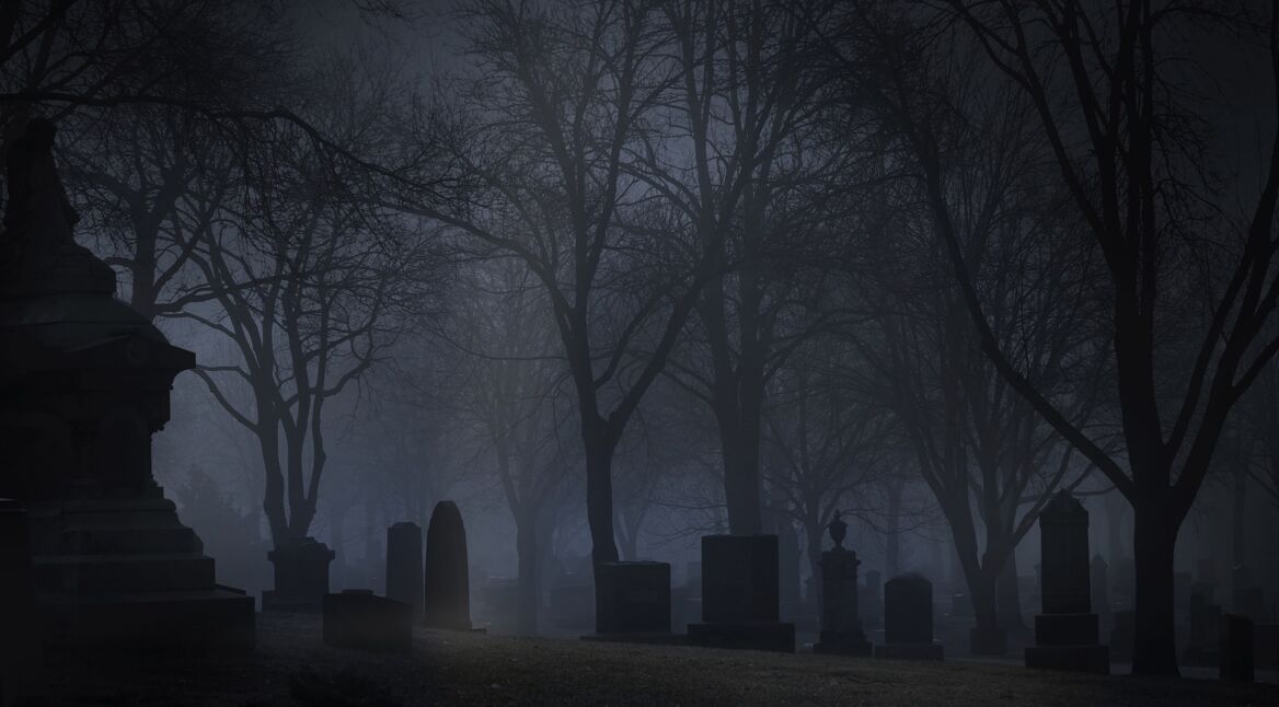 Friedhof der Kuscheltiere