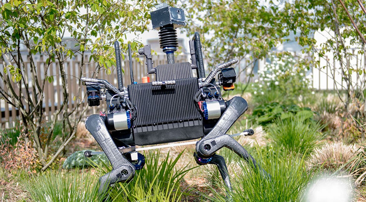Anymal Lebensretter-Roboter
