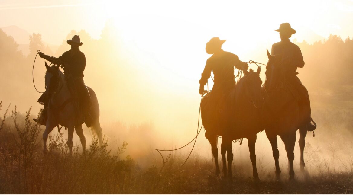 Red Dead Redemption 2 Western