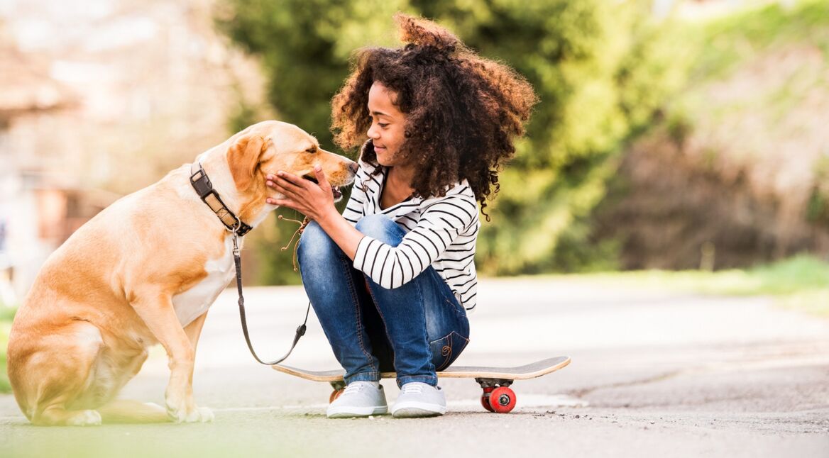 Ein junges Mädchen spielt mit einem Hund