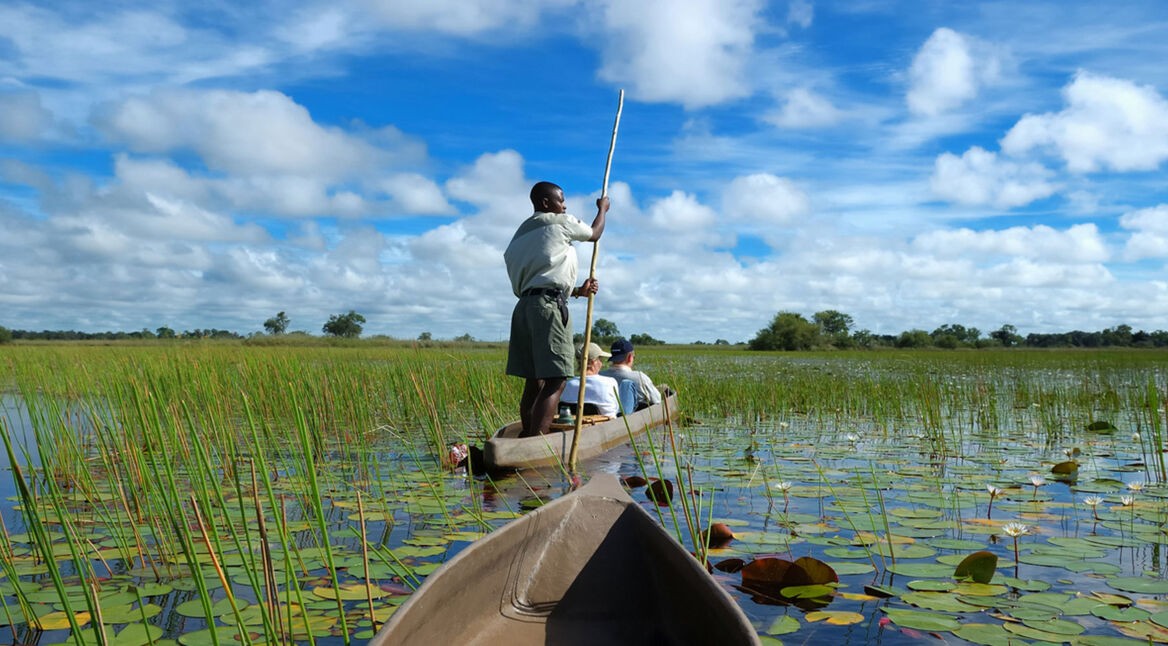 National Geographic und Youtube produzieren mehrere VR-Natur-Serien