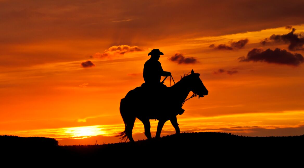 Cowboy im Wilden Westen